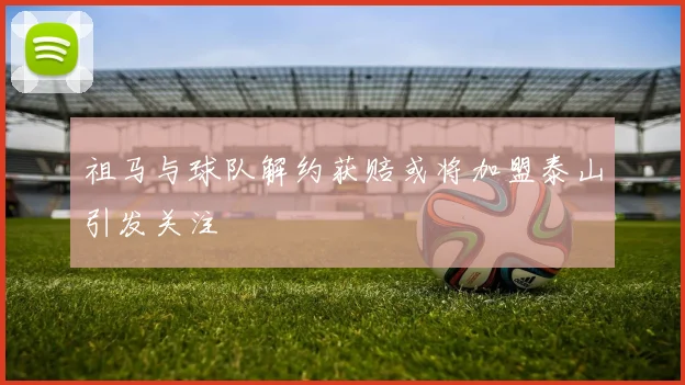 祖马与球队解约获赔或将加盟泰山引发关注