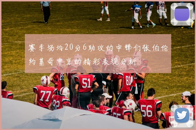 赛季场均20分6助攻的中锋们张伯伦约基奇申京的精彩表现分析