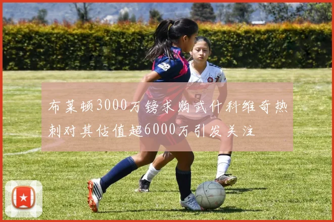 布莱顿3000万镑求购武什科维奇热刺对其估值超6000万引发关注