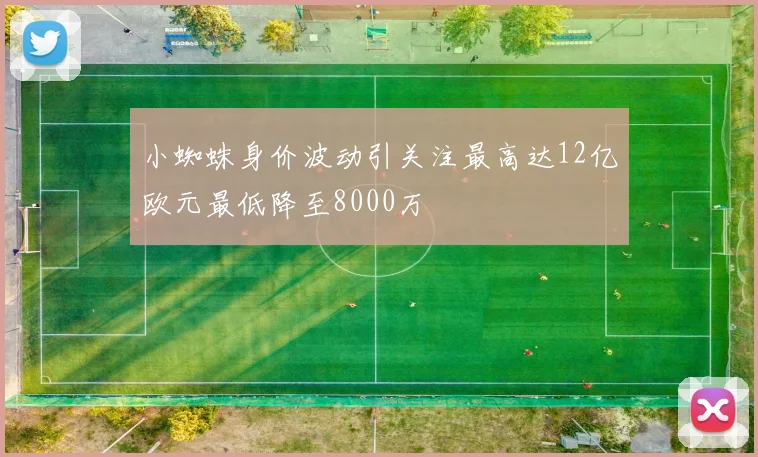 小蜘蛛身价波动引关注最高达12亿欧元最低降至8000万